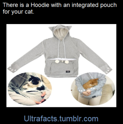 ultrafacts:    The Mewgaroo Hoodie is a hoodie with a giant pouch on the front for a kitty to curl up in. Also works for small dogs. The pouch has a removable, washable liner so it doesn’t get all funky in there. Plus the hood has little ears and the