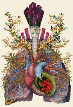 Bedelgeuse:  &Amp;Ldquo;Adore&Amp;Rdquo; Anatomical Collage Art By Bedelgeuse 