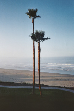 lvndcity:  Pismo Beach, California by Christian Storm (2011) US