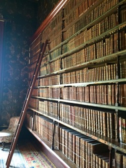 iceinsummer:  Lots of lovely old books in Brodsworth Hall, an old Victorian country house! 