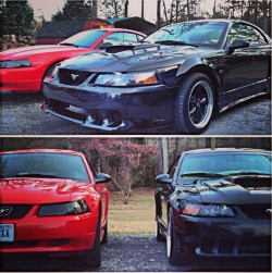 ford-mustang-generation:  My ‘03 V6 (red) and ‘01 GT (black).