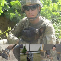 victran:  Help my brother and war veteran @queensblvd reunite with his Military Working Dog.  MWD Saki R526 - Please Reunite With Handler  Former TEDD handler Agustin would love to be reunited with his MWD Saki R526, a male 6-year-old dark brown Belgian