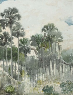 thunderstruck9:  Winslow Homer (American, 1836-1910), Florida Jungle, 1886. Watercolor and pencil on paper, 35.6 x 27.3 cm. 