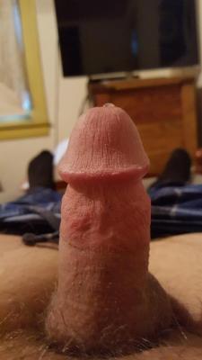 small-cock-ordeal:  hoodlessdick:  penisobserver:My humble Ohio cock. Any guys like it? Let me know!  Nice  Good decision to beautify, any small dick looks better hoodless  I like