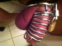 huntingtonsilver:  Second trial of my chastity device. It’s been on for 10 hours now. Think I’m going to be sleeping in it tonight. Reblog if I should wear it all weekend. 