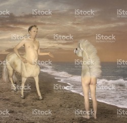 greenribbon: my coworker stumbled upon one of the best stock images of all time O.k. Great stock image, but I think it would be better if instead of just switching the horse head for the human torso it was the centaur with a naked woman taking the picture