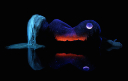 abowtieandtwohearts:  stonedfrodo:  jedavu:  Stunning Fluorescent Landscapes Painted on Female Bodies by Photographer and artist John Poppleton  This photographer/artist lives in my town and one of my friends is actually painted up in a couple of these