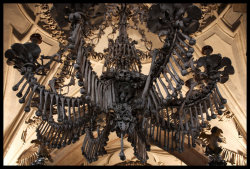 maire-annatari:  The Sedlec Ossuary is a small Gothic church in the Czech Republic.  It is adorned with the bones of some 40,000 people (some say up to 70,000), most of them victims of the Black Death. When life gives you plagues, improve your architectur