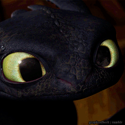 charliexxx:  sunsetofdoom:  tarch-7:  Toothless is so cute here.  THE DETAILS HIS NOSTRILS ARE PINK ON THE INSIDES YOU CAN SEE THE EDGES OF HIS SCALES HE’S STILL COVERED IN DIRT AND SOOT FROM THE FIGHT DREAMWORKS WHY ARE YOU SO AWESOME  And the detail