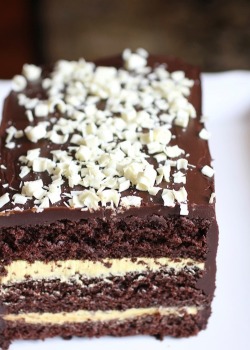 in-my-mouth:  Chocolate Cake with Orange Buttercream and Ganache 