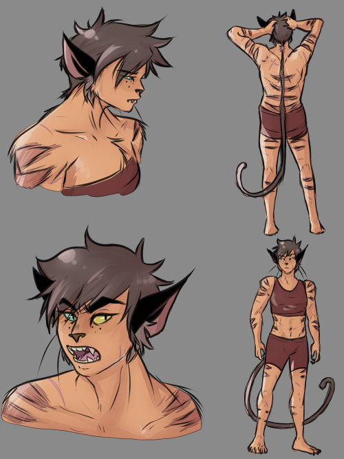 Some Catra headcanon doodles for how I imagine how she looks because she’s fun to draw :3