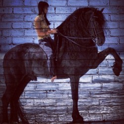 I&rsquo;d rather be doing what she&rsquo;s doing. #horse #graffiti #friesian #awesome