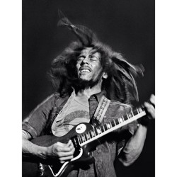 elgato305:  #bobmarley #reggae #rasta #onelove #jah #rastafarai #lion #king #legend 