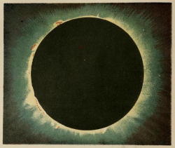 humanoidhistory:Total eclipse of the Sun, July 1860, illustrated by astronomer Warren de la Rue. Published in The Heavens: An Illustrated Handbook of Popular Astronomy by Amédée Guillemin, 1867.