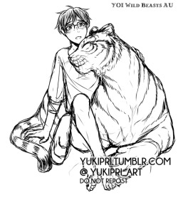 yukipri:  Yuuri &amp; Literal Tiger!Yurio (big)from the YOI Wild Beasts AUTiger cub grows up very, VERY fast and Yuuri can’t pick Yurio up for long…(Yuuri &amp; Literal Tiger!Yurio (smol))(first comic HERE)~~PLEASE DO NOT REPOST, EDIT, TRANSLATE,