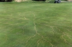 bunkershotgolf:  PHOTO: After lightning strikes a golf course.  Wicked pic