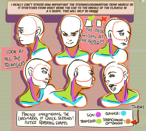 thundercluck-blog: Hey friends! Meg here for TUTOR TUESDAY! Today we take a look at the neck and how it connects to the head and shoulders! Thanks for your patience! If you have any tutorial recs send ‘em in here or my personal. Now go forth and I’ll