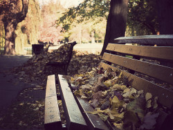 enchanting-autumn:  a remnant of autumn love… by fanjason on Flickr.
