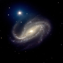 just–space:  The barred spiral galaxy NGC 613  js 