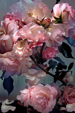 floralls:  by Nick Knight   