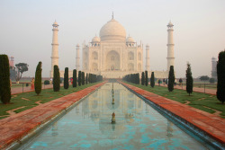 expressions-of-nature:  Taj Mahal by Larry He 