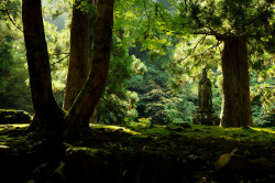 wanderlustjapan:  Eihei-ji by  Philippe Charles