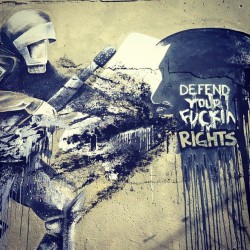 bienteresan:  Defend your fucking rights! #resist #urbanberlin #graffitti #wallart 