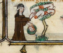 odalisque-uk:  I spent time today discussing the famous penis tree. And because I’m generous I thought I’d share an image of it - one of several, mind - from medieval illuminated manuscripts. You’re welcome.