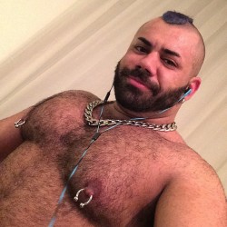 laid-bear-official:  Post gym #selfie. 💪 Tired but #happy #gay #gaybear #gaylondon #hairygay #hairybear #hairychest #chest #nipplerings #chain #mohawk #muscle #musclebear #beefy #bear #beard #pecs #hairypecs