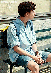 cmbyn-gifs:    elio perlman’s outfit in call me by your name (requested by @gayfaceandmeerkat)