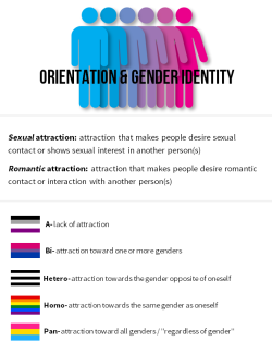 gothicqueenofscots:  mxcleod:  mmikan:  Here’s information about sexual/romantic orientations and gender identities that I put together! I..I don’t do graphic design, so this isn’t that great. Also, I’m very sorry if I missed your orientation