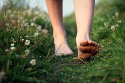 biifrost:   dardha:  Ancient healers believed Earth’s energy could be easily absorbed through our skin and through the soles of our feet. Studies proves earthing (also called grounding) can improve your blood pressure, reduce cortisol, and even help