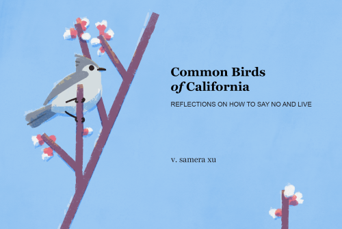 sameraxu:  sameraxu:Common Birds of California is a zine about burnout, birding, and bioregionalism. You can read it in full for free on my website! Heads up that a text transcript of this zine is now available.
