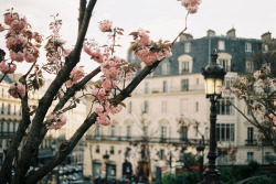 extrarouge:  Spring in Paris.