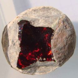 lord-of-cinder-anfelo: vivicon:  sixpenceee: Wollo-Rough Red Opal I want to bite on this rock so badly  forbidden donuts  