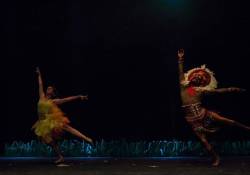 Clicks do fds.. Espetáculo de dança O Rei Leão - Cia de Dança Nathalia Melo. 