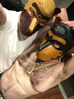 Pup Gryphon and I are taking bondage classes&hellip; This is going to be awesome weekly training&hellip;