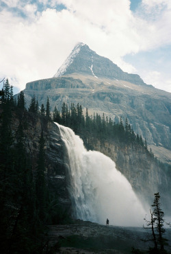 mystic-revelations:  Emperor Falls (by What