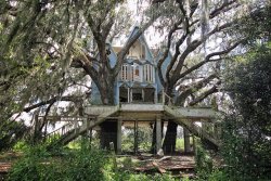 lelespeaks:  skeletons-of-trees:  schmorganlisa:  An abandoned Victorian tree house somewhere is South Florida   