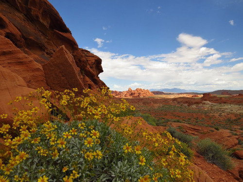 ps1:  Valley of Fire State Park