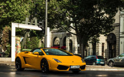 carpr0n:  Starring: Lamborghini Gallardo