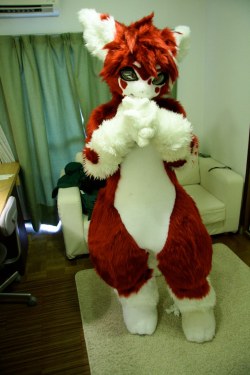 datdonk:  coyoteaverage:  Japanese fursuits are best fursuits :3  I want to hug and kiss them forever~  I love them &lt;3
