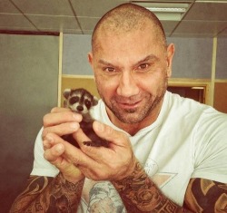 actorswithactionfigures:  Dave Bautista (DRAX THE DESTROYER in this weekend’s box office smash GUARDIANS OF THE GALAXY) with a baby raccoon. My heart!  … &lt;later&gt;  NO DAVE NO!! TOO MUCH IN CHARACTER!! STAPH!! D:  #RocketRaccoon #ItsFleshIsDelicious