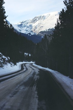 vintageux:  abseunt:  vintageux:  vintage/naturevintage &amp; nature  vintage/nature  I&rsquo;d love to walk down this road and just disappear and never come back