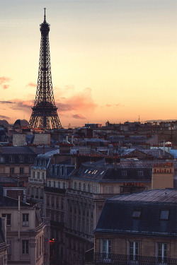 mistergoodlife:  Paris rooftops | Mr. Goodlife | Instagram 