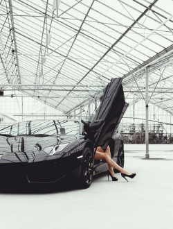 auerr:  Lamborghini Aventador 