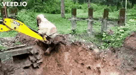 trendingfunnygifs:  Elephant expresses gratitude after being saved from a pit