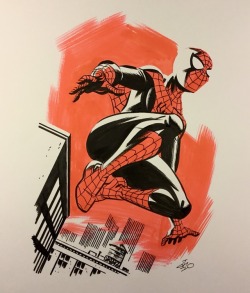 wwprice1:  Incredible Spidey Michael Cho!