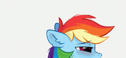 A  censoring right there&hellip; Dashie really likes that dick. Just a quick thing cause I was bored&hellip;and it actually was this time, ~6 hours. Anyway, enjoy! :)  &gt; Original art by @mirtashWebM: https://e621.net/post/show/1889673HQ gif: https://de