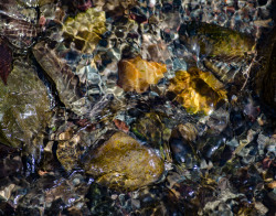 rivermusic:  bwwhitney:  Abstract river for @rivermusic  thanks so very much for the reblogs   Thank you so much! I love the colors in this shot! :D